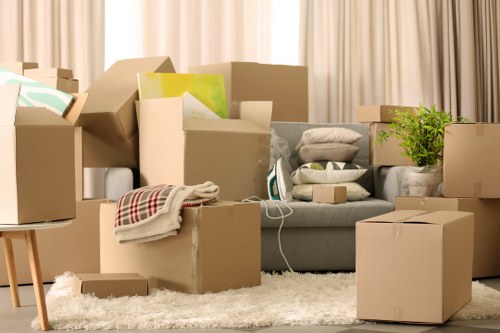 Efficient packing services by Manandvan Belgravia