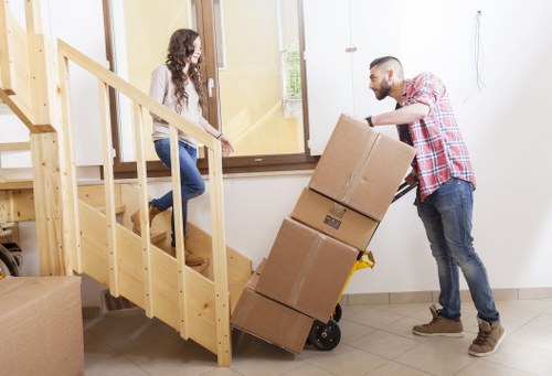 Eco-friendly moving practices by Man with Van in Belgravia